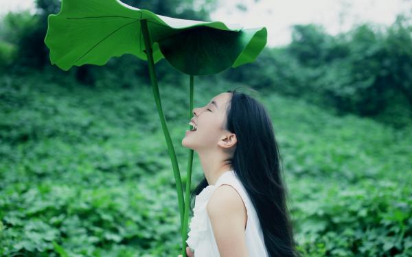 《小林秦浩》完结版免费阅读 《小林秦浩》最新章节列表